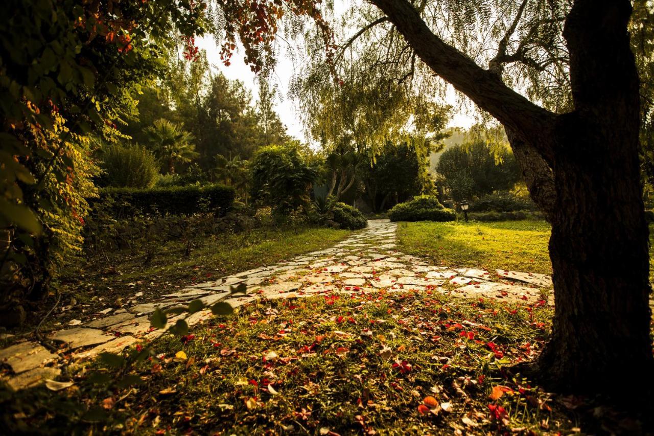 Hotel Berke Ranch&Nature 凯梅尔 外观 照片