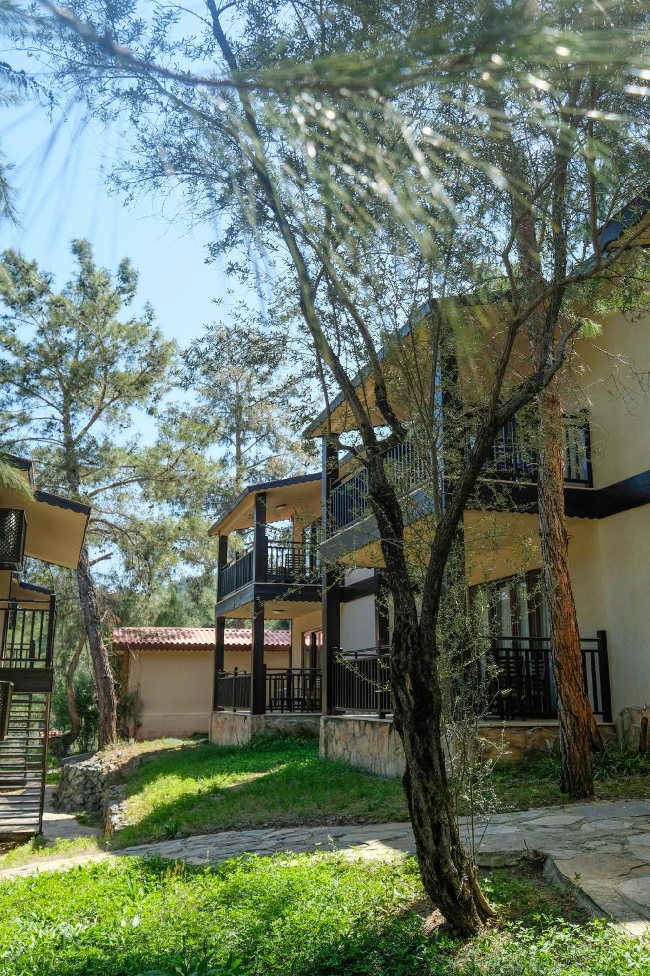 Hotel Berke Ranch&Nature 凯梅尔 外观 照片