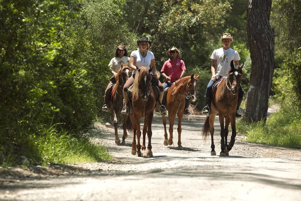 Hotel Berke Ranch&Nature 凯梅尔 外观 照片
