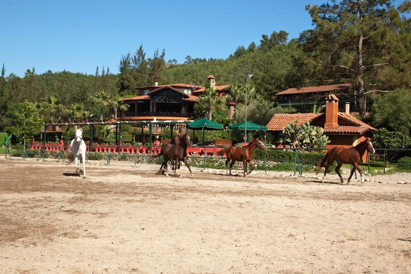 Hotel Berke Ranch&Nature 凯梅尔 外观 照片
